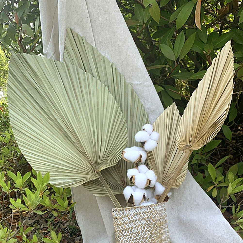 Palm Leaf Dried - 1枚の天然乾燥ヤシの葉の壁掛け装飾、鮮やかな緑の葉はハワイをテーマとしたアクティビティや窓の飾り付け、リビングルームの装飾に最適です。