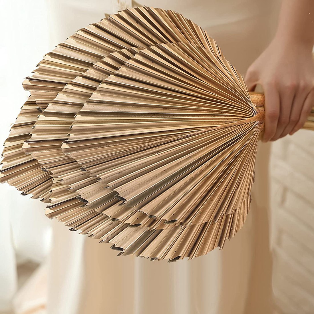 Palm Leaf Dried - ファンのための自然乾燥ヤシの葉,自由奔放に生きる乾燥葉,家庭用の熱帯装飾,キッチン,結婚式,ホット,5個