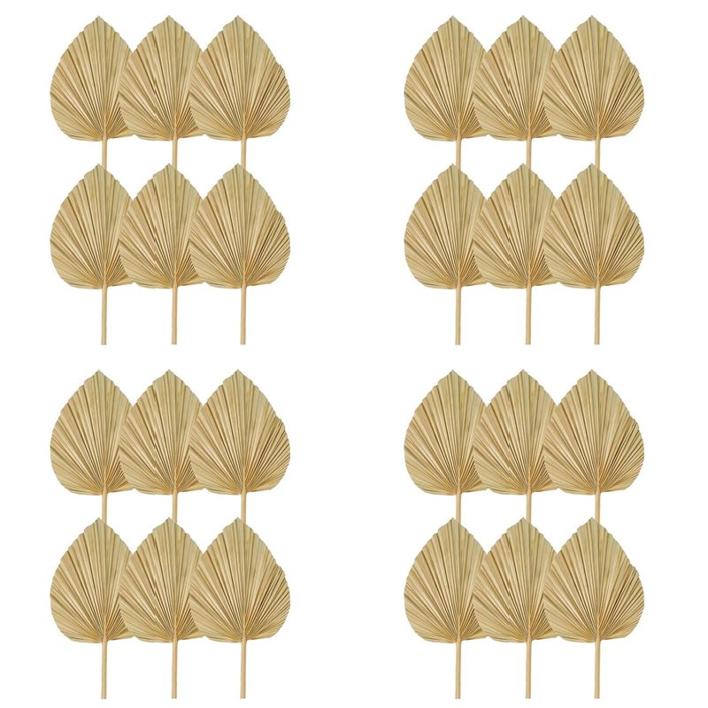 Palm Leaf Dried - 【クリスマス】24枚入り乾燥ヤシの葉、天然乾燥ヤシの葉扇子、ボヘミアンウェディングデコレーション用大型ヤシの葉、トロピカルヤシの葉S
