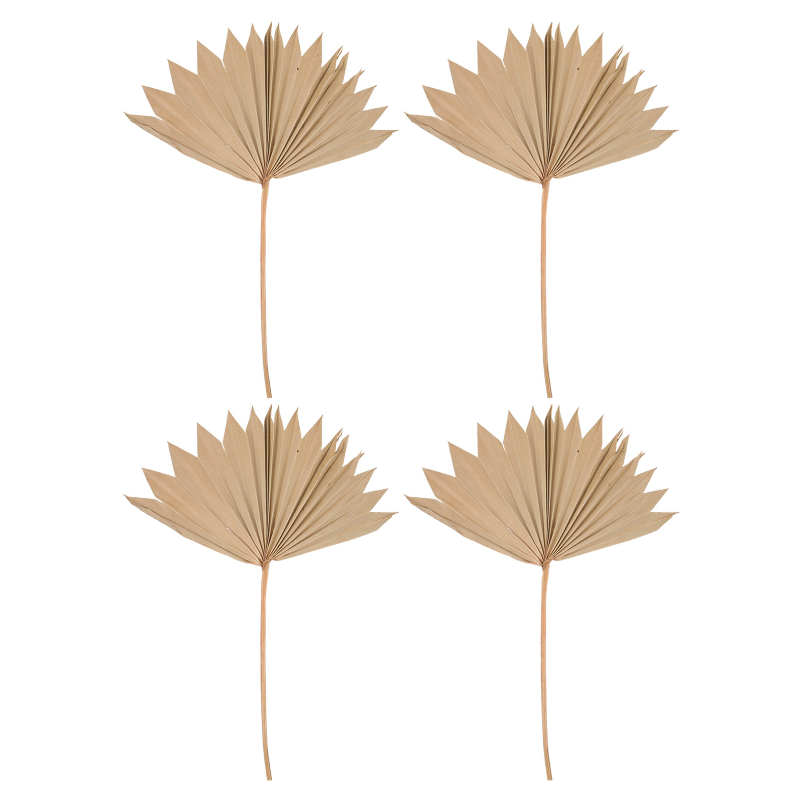 Palm Leaf Dried - 4枚組乾燥ヤシの葉装飾 ウェディングパーティー ボヘミアンウォールアート 花瓶飾り フェスティバルシーン装飾 ウェディング用品