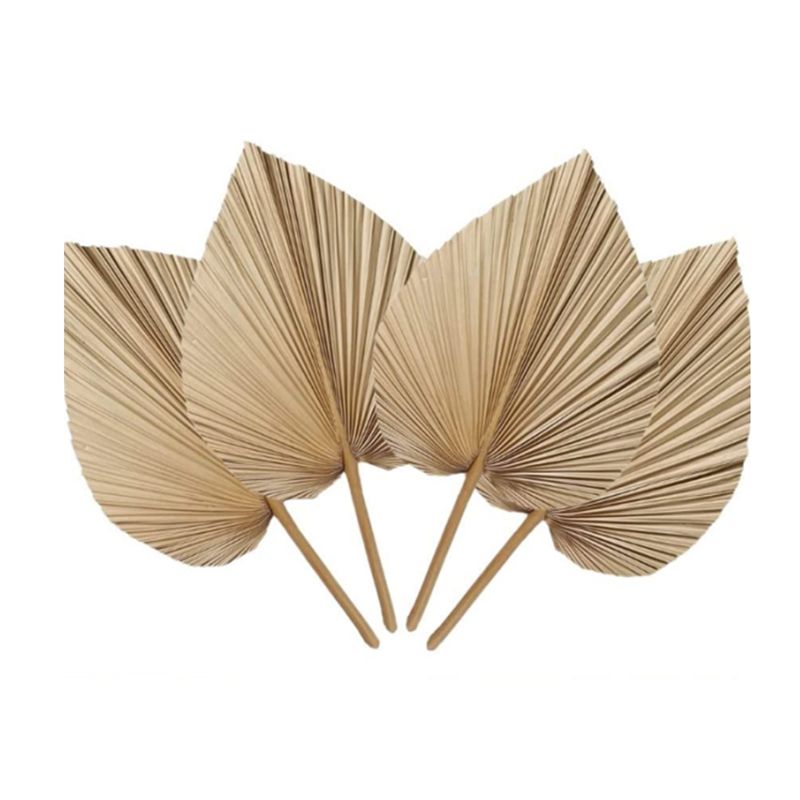 Palm Leaf Dried - A27F-6個入り 天然トロピカルドライパームリーフデコレーション ボヘミアン風トリミングパームリーフ 結婚式 壁飾り 寝室装飾用