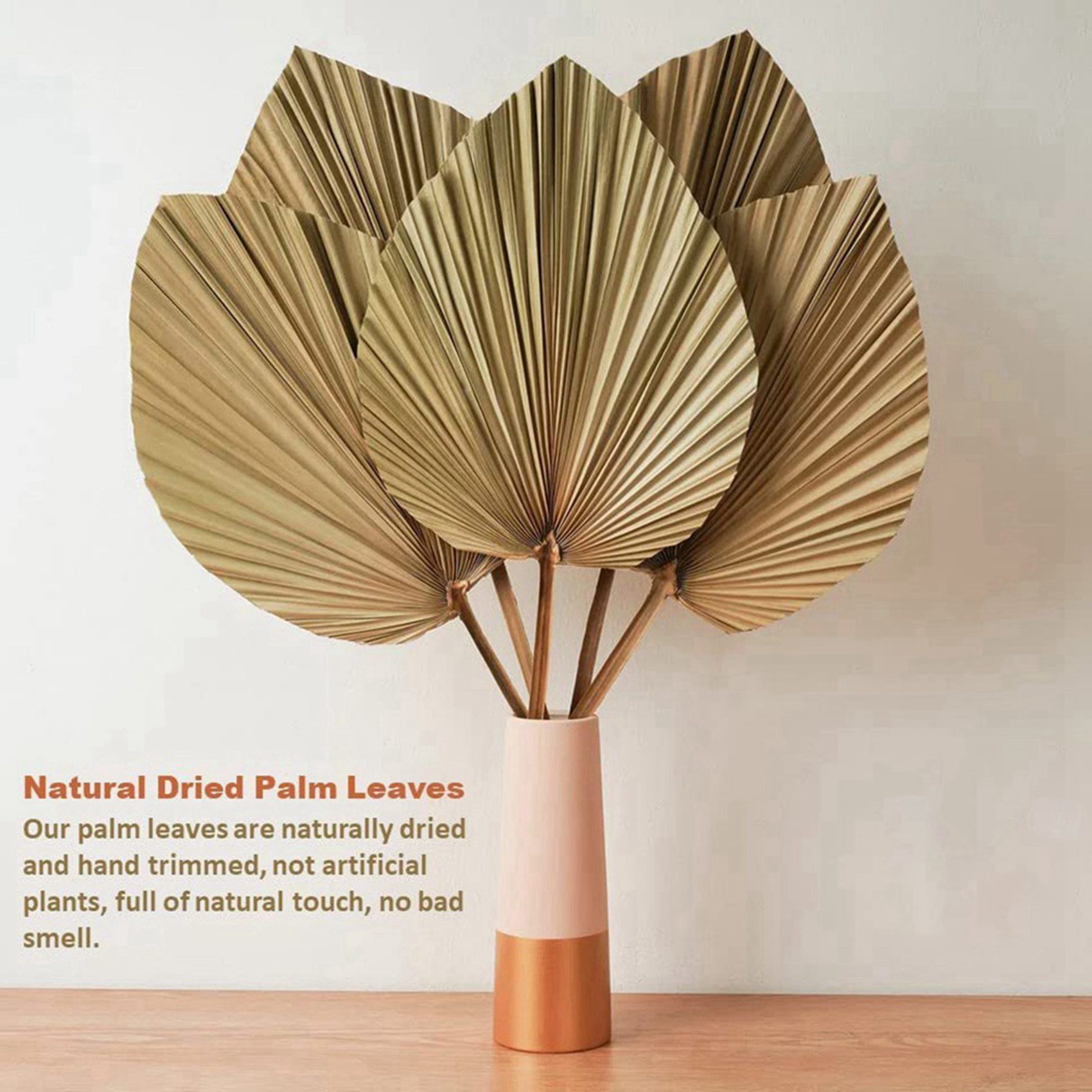 8枚の天然乾燥ヤシの葉は、ヤシの葉の装飾、ボヘミアン装飾、家 - Palm Leaf Dried のレビューと価格