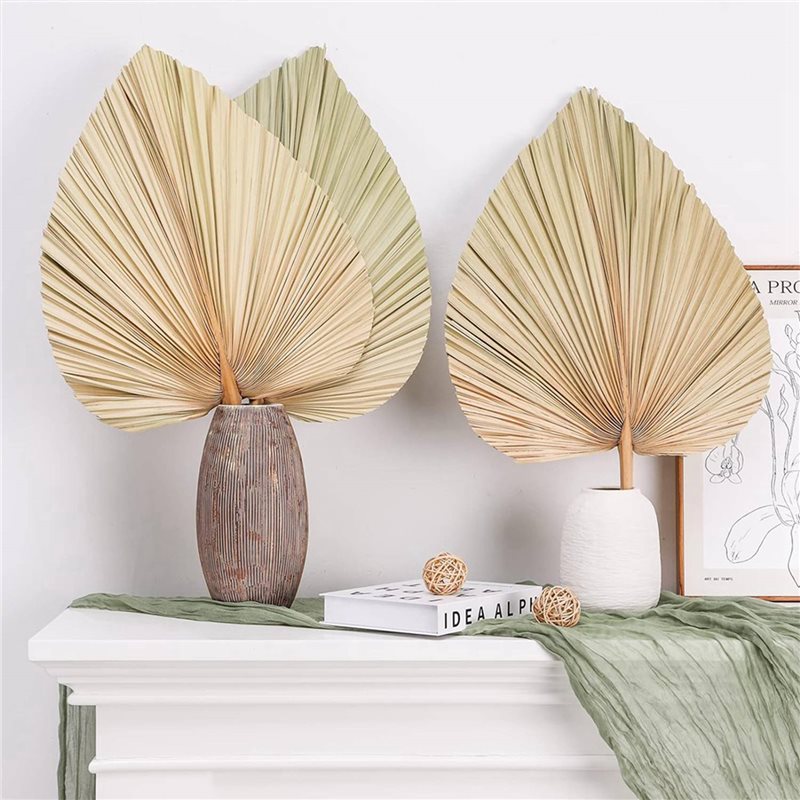 【クリスマス】24枚入り乾燥ヤシの葉、天然乾燥ヤシの葉扇子、 - Palm Leaf Dried のレビューと価格