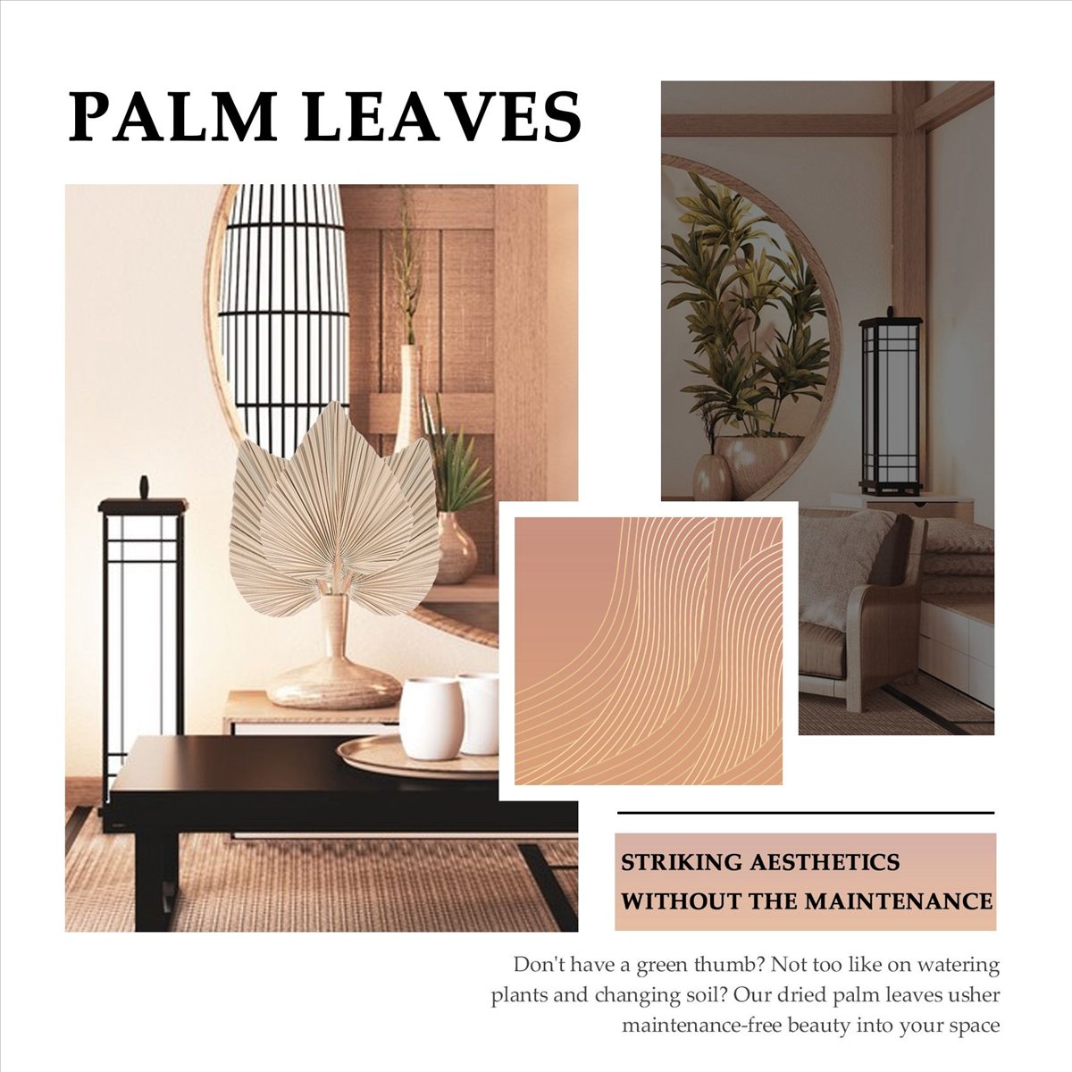 NOCM ドライパームリーフ ルームデコレーション 5枚セッ - Palm Leaf Dried のレビューと価格