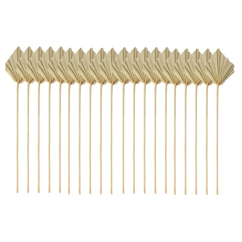 ABYN-ボホ風ドライパームスピア、小さな天然乾燥パームファ - Palm Leaf Dried のレビューと価格