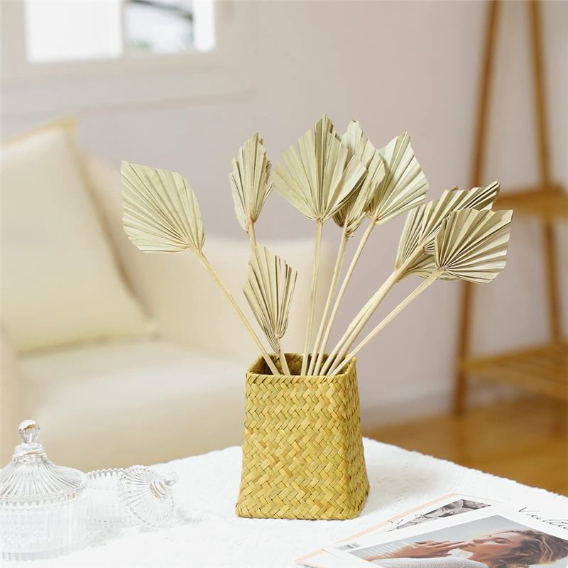 TFORU-ボホ風ドライパームスピア、小さな天然乾燥パームフ - Palm Leaf Dried のレビューと価格