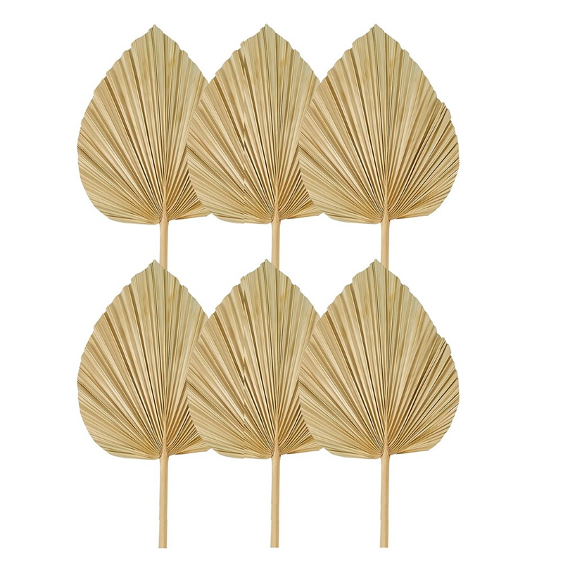新しい 6 個の乾燥ヤシの葉天然乾燥ヤシのファン、自由奔放に - Palm Leaf Dried のレビューと価格