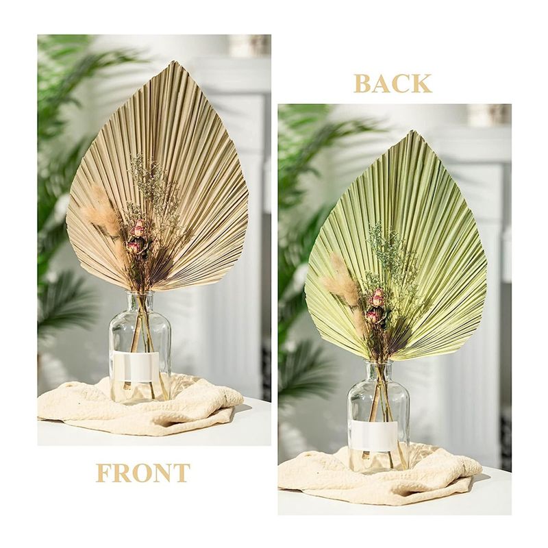 A27F-6個入り 天然トロピカルドライパームリーフデコレー - Palm Leaf Dried のレビューと価格