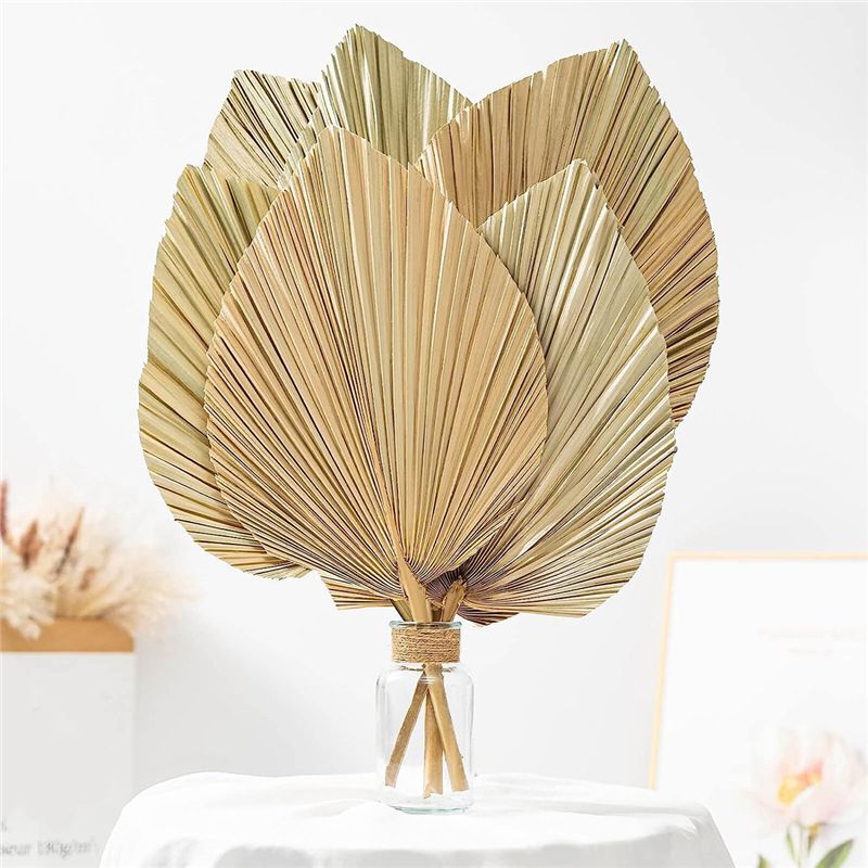 A27F-6個入り 天然トロピカルドライパームリーフデコレー - Palm Leaf Dried のレビューと価格