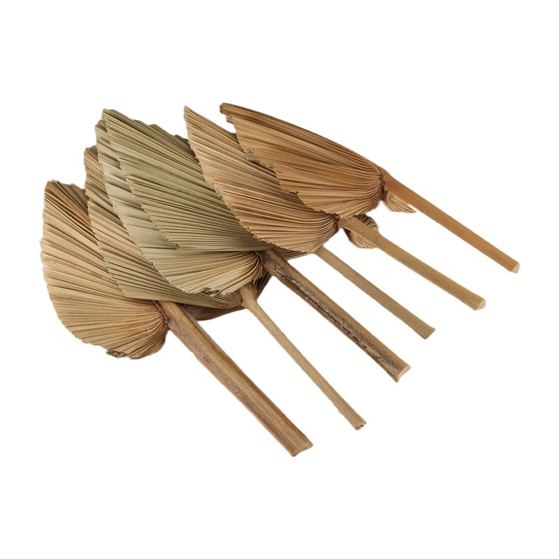 ABKO-6PCS ドライパームリーフ 天然乾燥パームファン - Palm Leaf Dried のレビューと価格