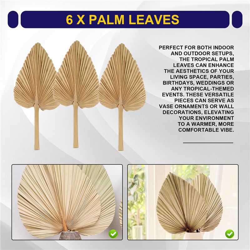 ABKO-6PCS ドライパームリーフ 天然乾燥パームファン - Palm Leaf Dried のレビューと価格
