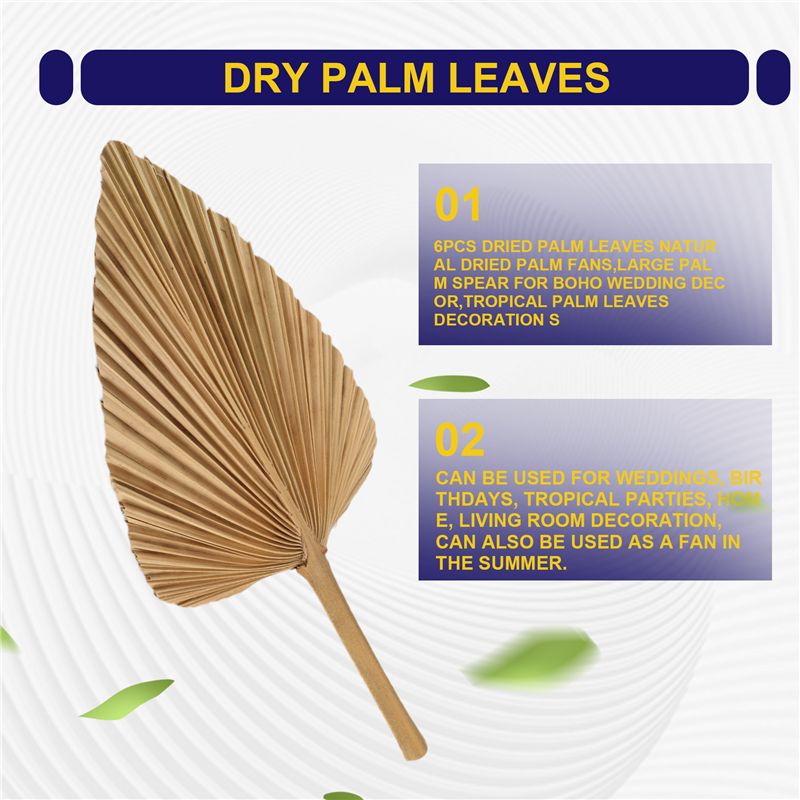 ABKO-6PCS ドライパームリーフ 天然乾燥パームファン - Palm Leaf Dried のレビューと価格