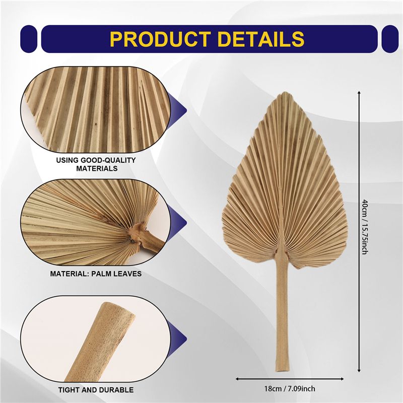 ABKO-6PCS ドライパームリーフ 天然乾燥パームファン - Palm Leaf Dried のレビューと価格
