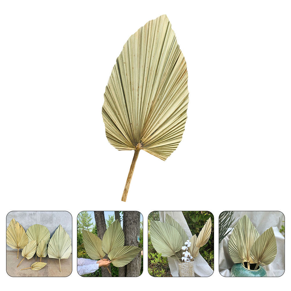 1枚の天然乾燥ヤシの葉の装飾、フレッシュグリーンの壁掛け、ウ - Palm Leaf Dried のレビューと価格